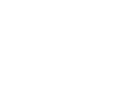 Elevate-Financial-Strategies